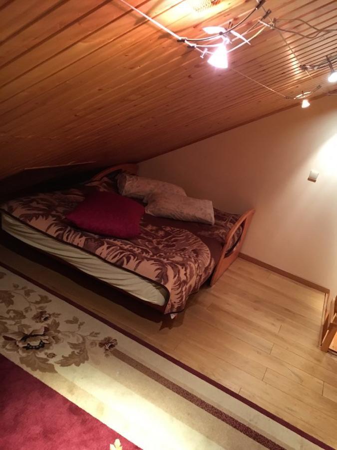Hotel Dainava دروسكينينكاي المظهر الخارجي الصورة